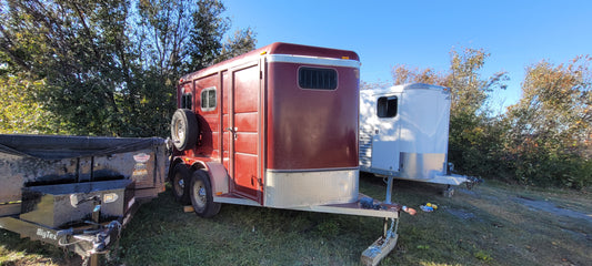 2006 Ranch King 2 Horse Trailer
