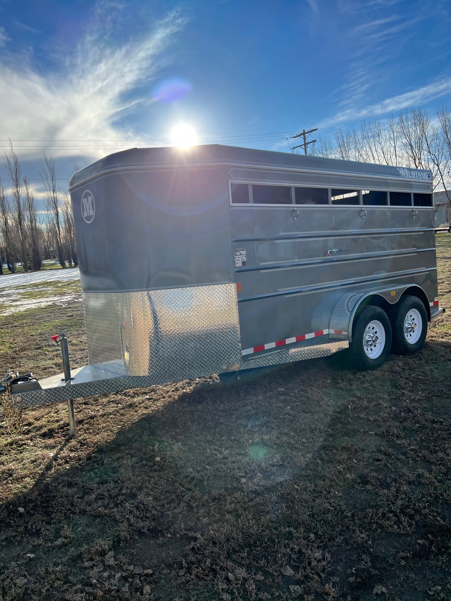 New 2024 Mustang Stock Trailer