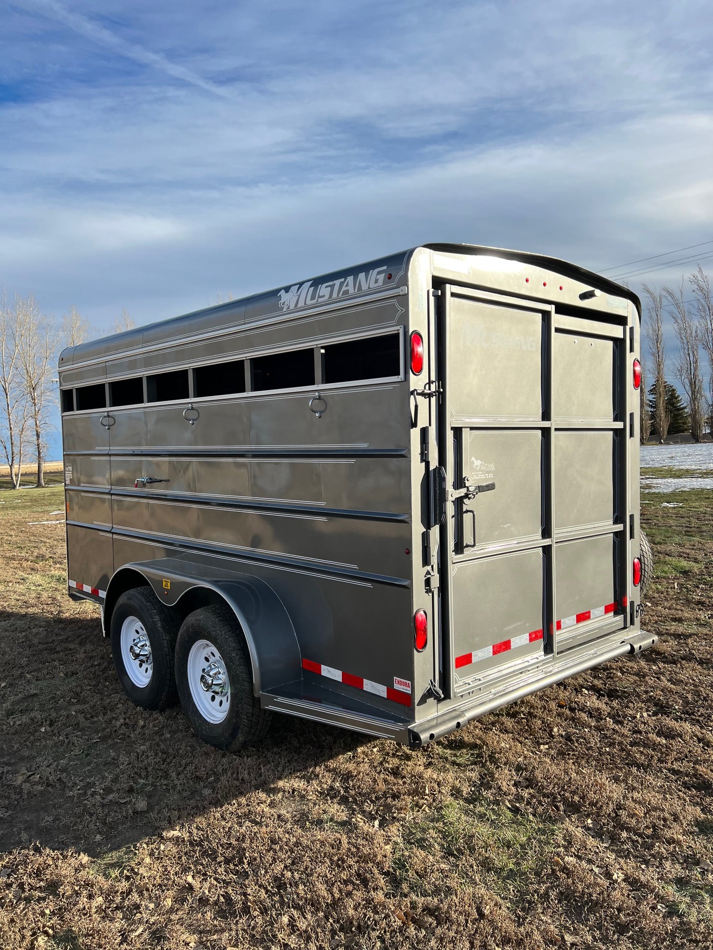 New 2024 Mustang Stock Trailer