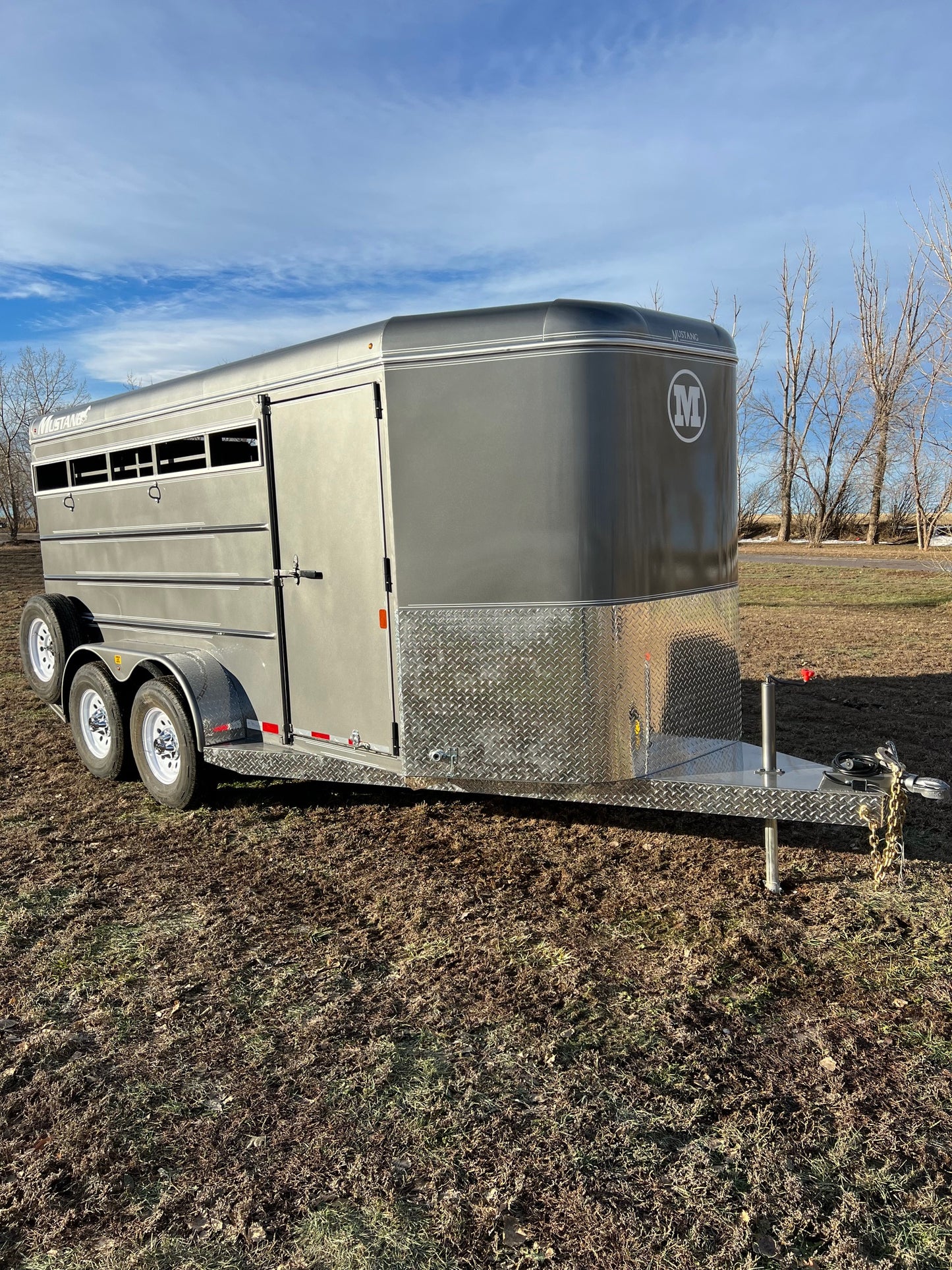 New 2024 Mustang Stock Trailer